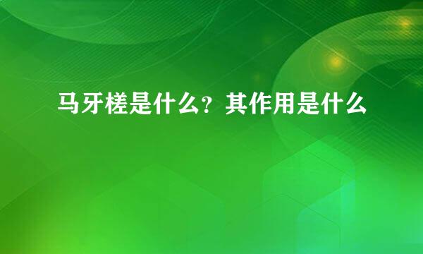 马牙槎是什么？其作用是什么