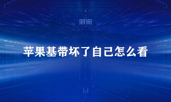 苹果基带坏了自己怎么看