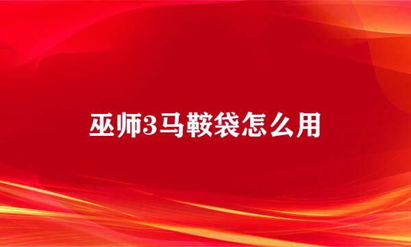 巫师3马鞍袋怎么用