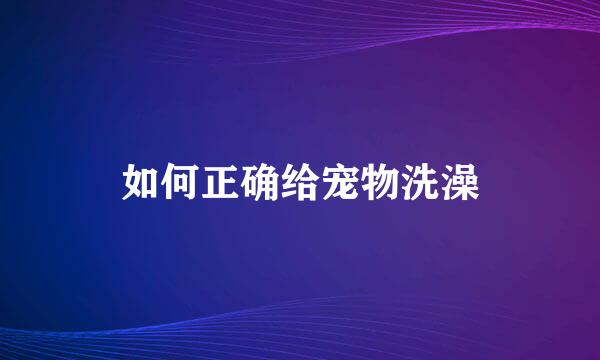 如何正确给宠物洗澡