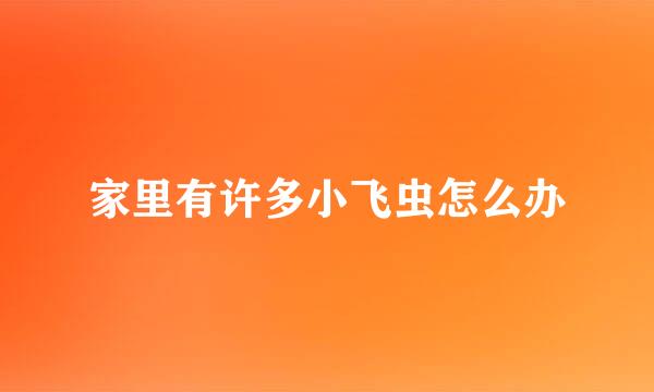 家里有许多小飞虫怎么办