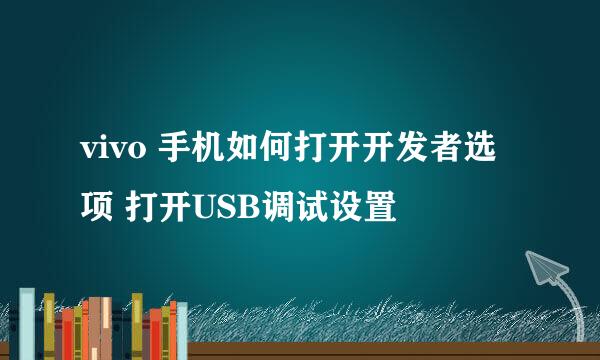 vivo 手机如何打开开发者选项 打开USB调试设置
