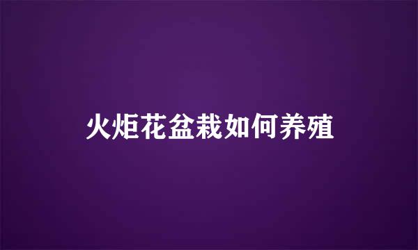 火炬花盆栽如何养殖