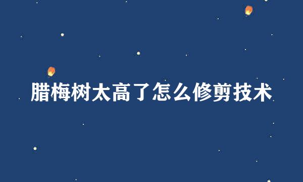 腊梅树太高了怎么修剪技术
