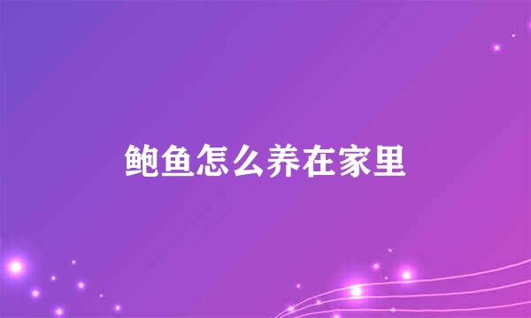 鲍鱼怎么养在家里