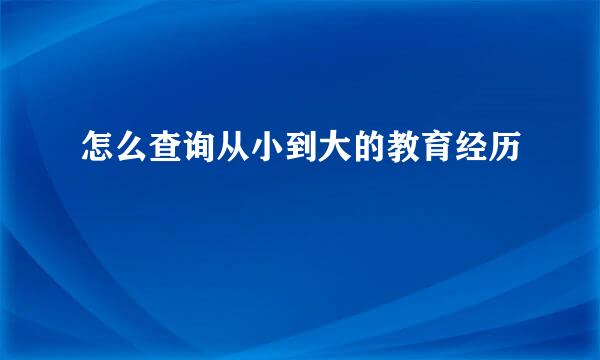 怎么查询从小到大的教育经历