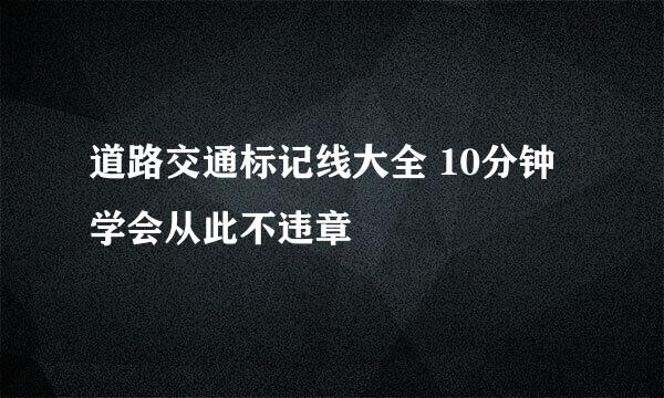 道路交通标记线大全 10分钟学会从此不违章