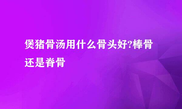 煲猪骨汤用什么骨头好?棒骨还是脊骨