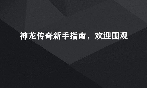 神龙传奇新手指南，欢迎围观