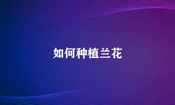 如何种植兰花