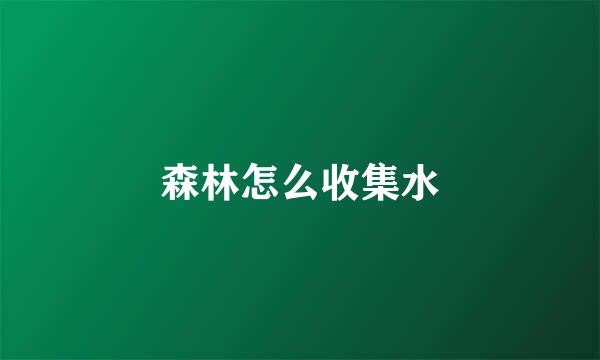 森林怎么收集水