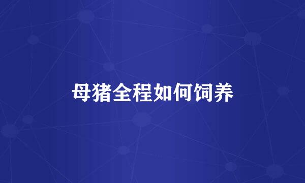 母猪全程如何饲养