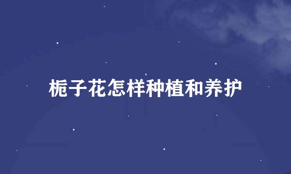 栀子花怎样种植和养护