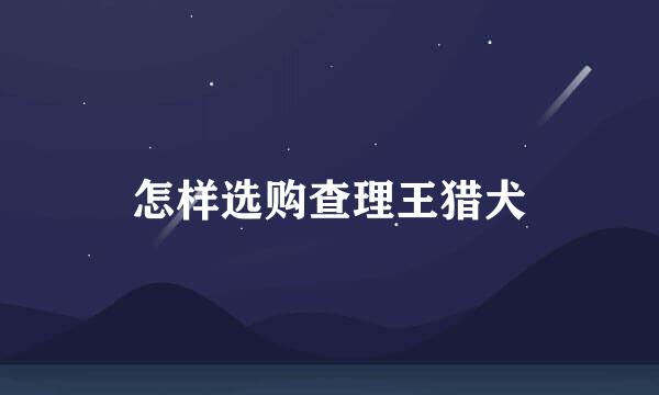 怎样选购查理王猎犬