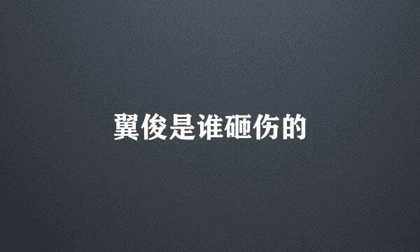 翼俊是谁砸伤的