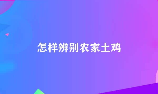 怎样辨别农家土鸡