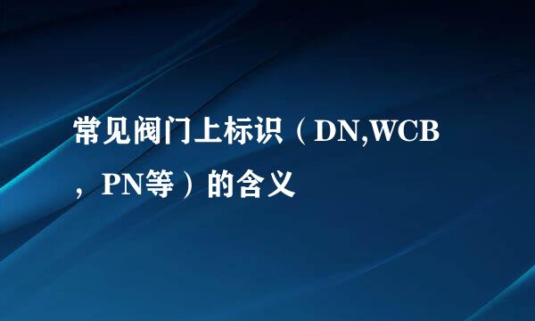 常见阀门上标识（DN,WCB，PN等）的含义