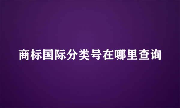 商标国际分类号在哪里查询