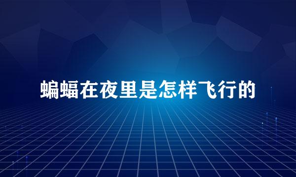 蝙蝠在夜里是怎样飞行的