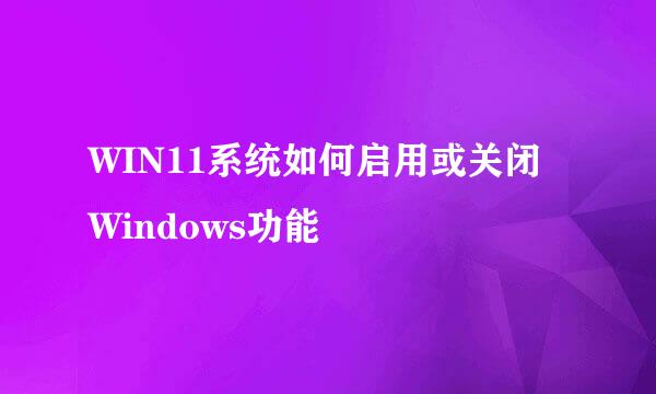 WIN11系统如何启用或关闭Windows功能
