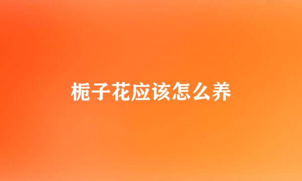 栀子花应该怎么养