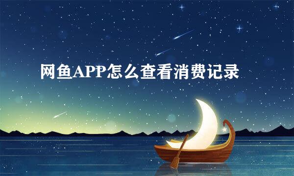 网鱼APP怎么查看消费记录