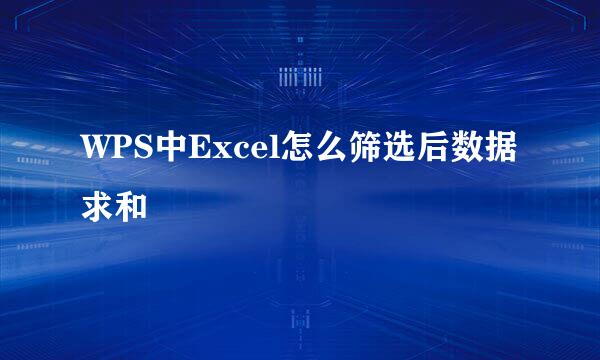 WPS中Excel怎么筛选后数据求和