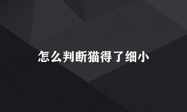 怎么判断猫得了细小