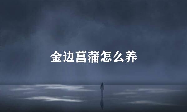 金边菖蒲怎么养