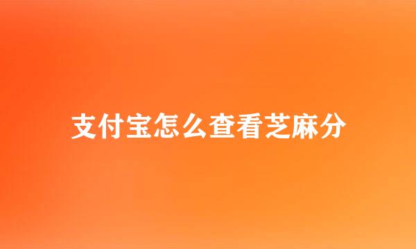 支付宝怎么查看芝麻分