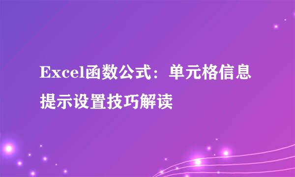 Excel函数公式：单元格信息提示设置技巧解读