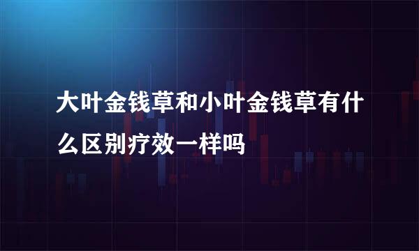 大叶金钱草和小叶金钱草有什么区别疗效一样吗