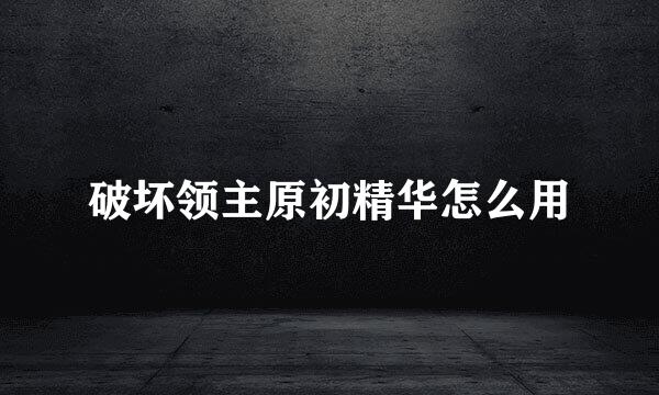 破坏领主原初精华怎么用