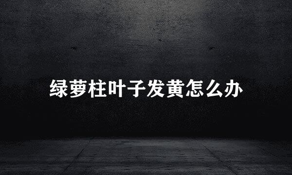 绿萝柱叶子发黄怎么办