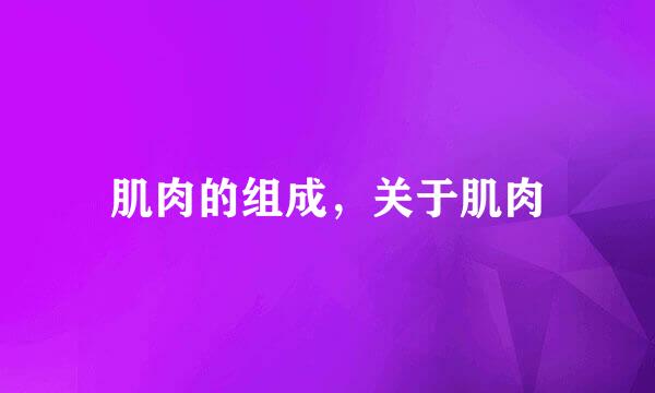 肌肉的组成,关于肌肉