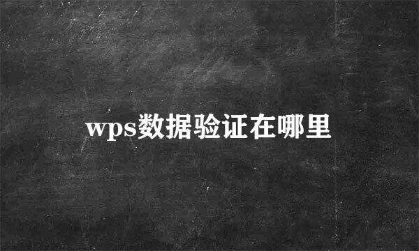 wps数据验证在哪里