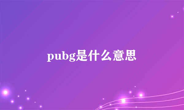 pubg是什么意思