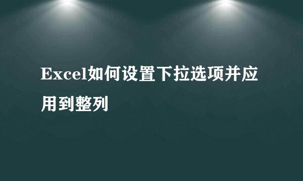 Excel如何设置下拉选项并应用到整列
