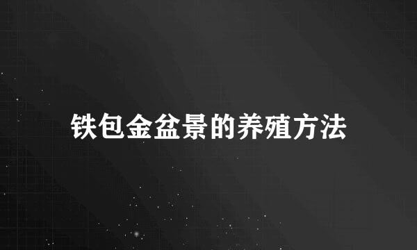铁包金盆景的养殖方法