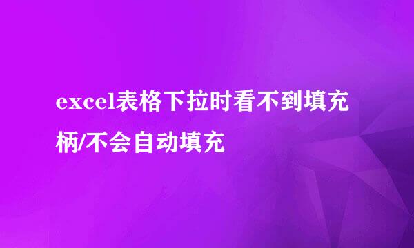 excel表格下拉时看不到填充柄/不会自动填充