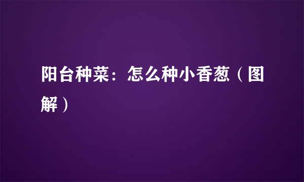 阳台种菜:怎么种小香葱(图解)