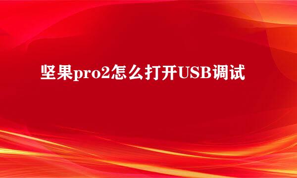坚果pro2怎么打开USB调试