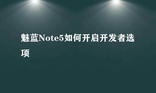 魅蓝Note5如何开启开发者选项