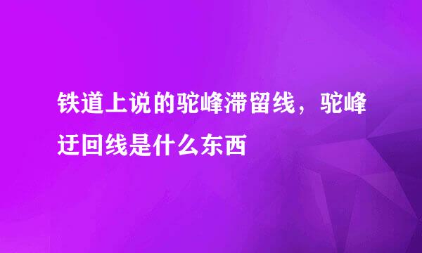 铁道上说的驼峰滞留线,驼峰迂回线是什么东西