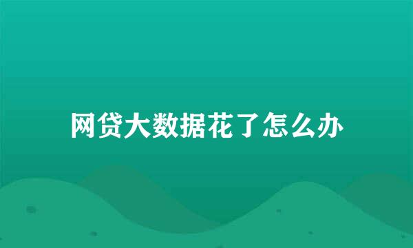 网贷大数据花了怎么办