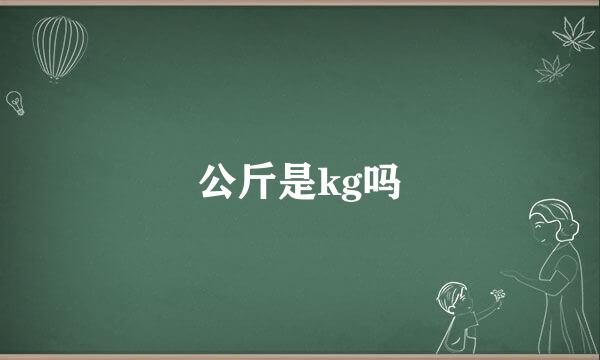 公斤是kg吗