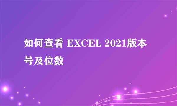如何查看 EXCEL 2021版本号及位数
