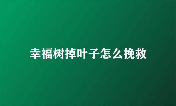 幸福树掉叶子怎么挽救