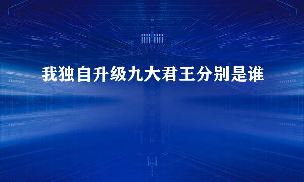 我独自升级九大君王分别是谁