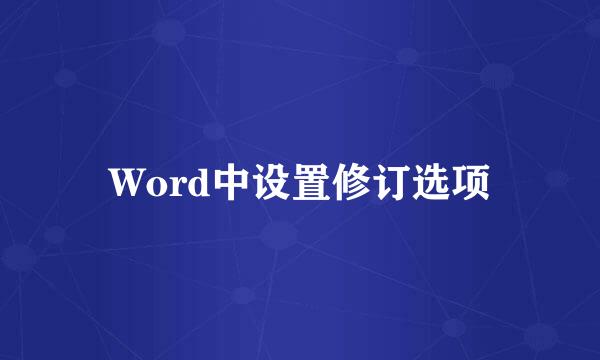 Word中设置修订选项